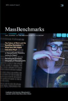 Cover of Journal showing a woman working on a computer.